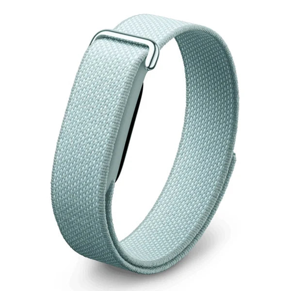 Google Fitbit Air Fitness Tracker - Fog