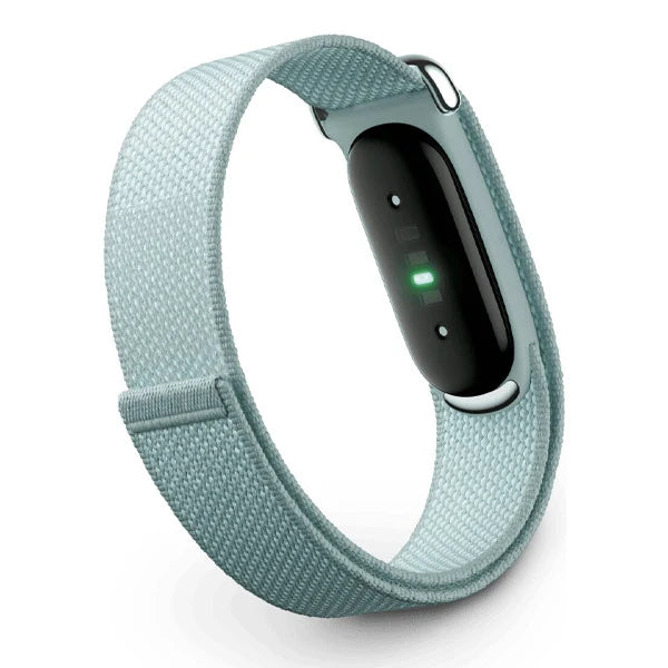 Google Fitbit Air Fitness Tracker - Fog