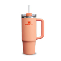 Stanley Quencher H2.0 Flowstate Tumbler(30 Oz)-Nectarine-Limited Edition (Asian Variant)