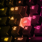 APEX 3 TKL US - BLACK